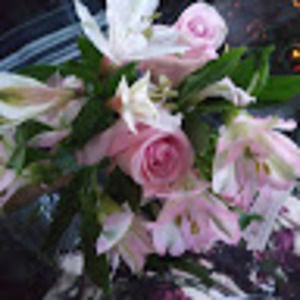 Meet your Posher, Laura